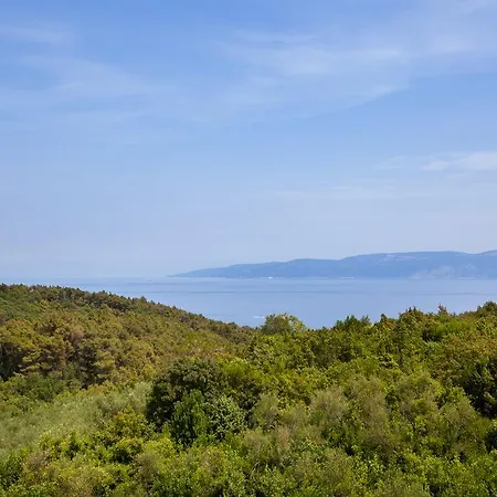 Apartment Villa Lidija *